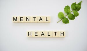 wood tiles that spell out Mental Health with a small branch of round green leaves